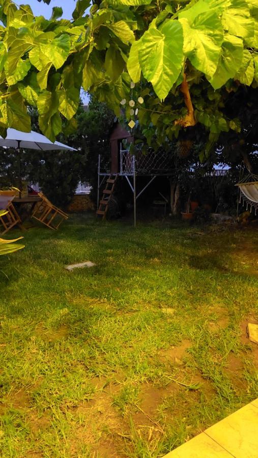 Diamant's Place With Treehouse Garden *