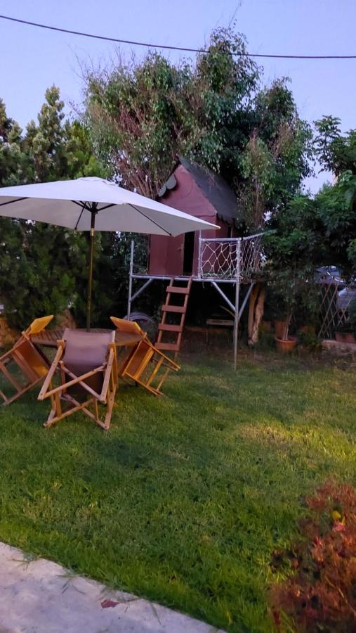 Apartmán Diamant's Place With Treehouse Garden *